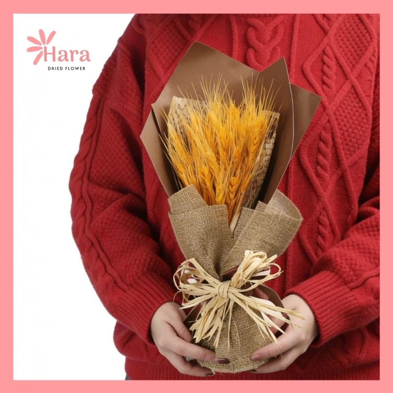 Bó hoa lúa mạch khô Hara69