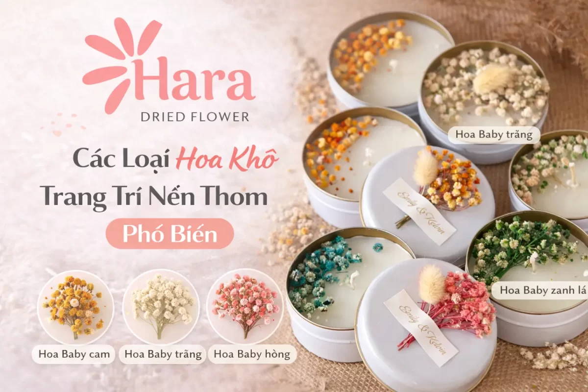 Các loại hoa khô phổ biến trong trang trí nến thơm