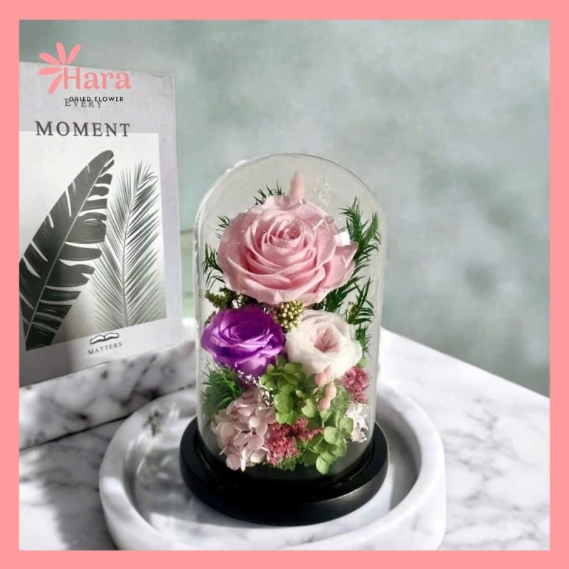 Chụp Thủy Tinh Hoa Khô HC01