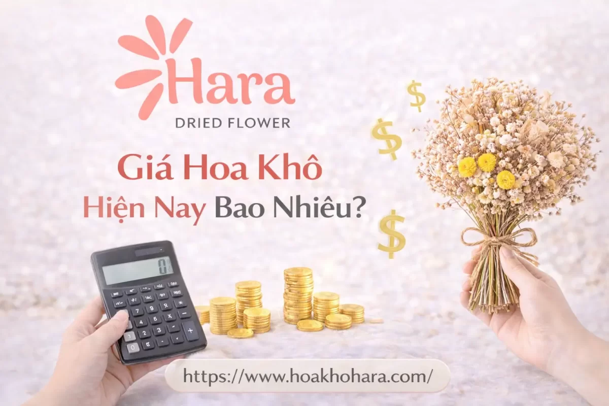 Giá hoa khô hiện nay là bao nhiêu?