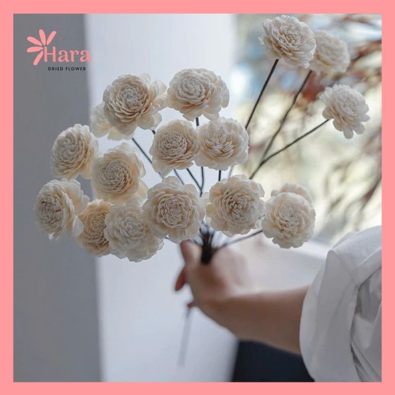 Hoa cẩm chướng handmade cây sola khô