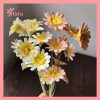 Hoa cúc hướng dương khô nhiều cánh