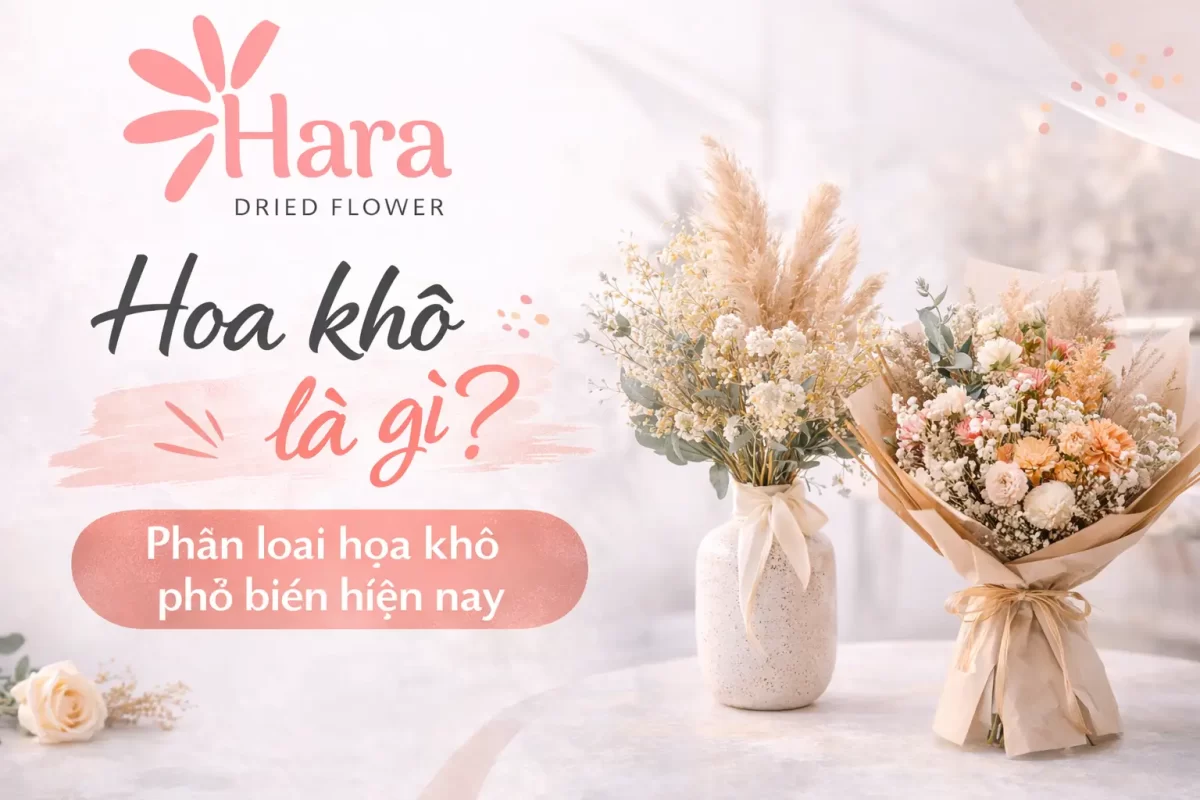 Hoa khô là gì?