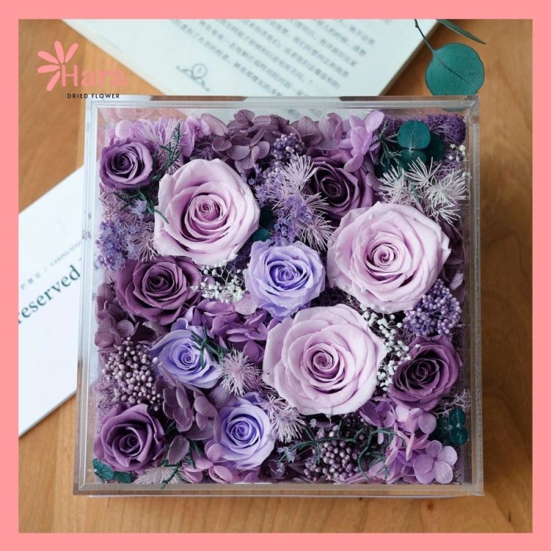 Hộp hoa khô Hara HC05