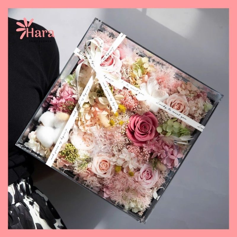 Hộp hoa khô Mica Hara HC06