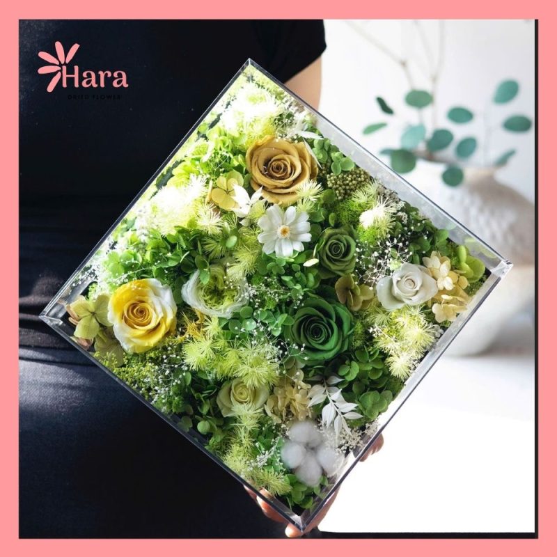 Hộp hoa khô Mica Hara HC07