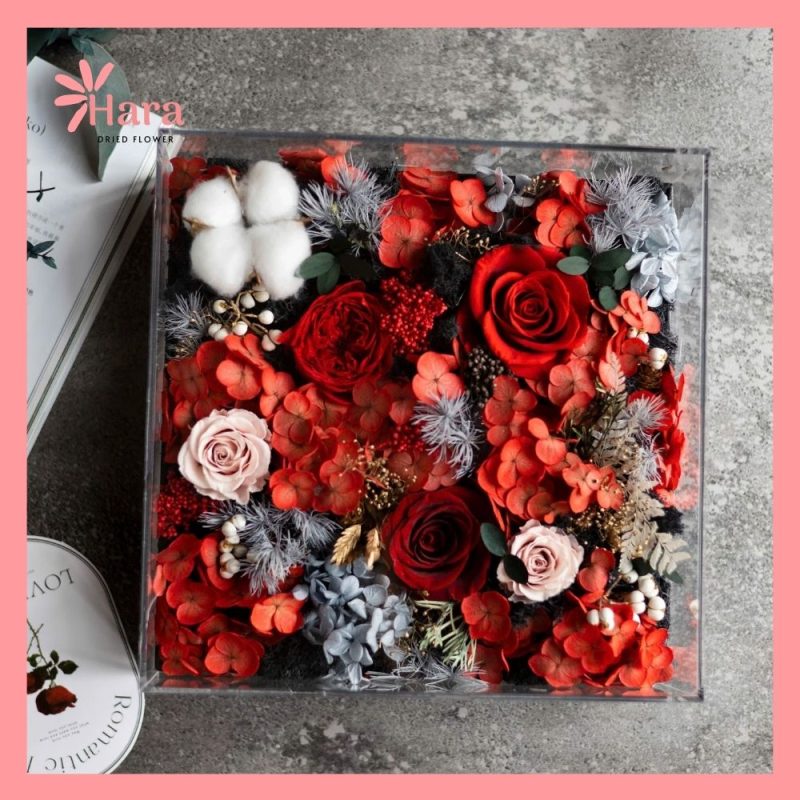 Hộp hoa khô mica Hara HC09