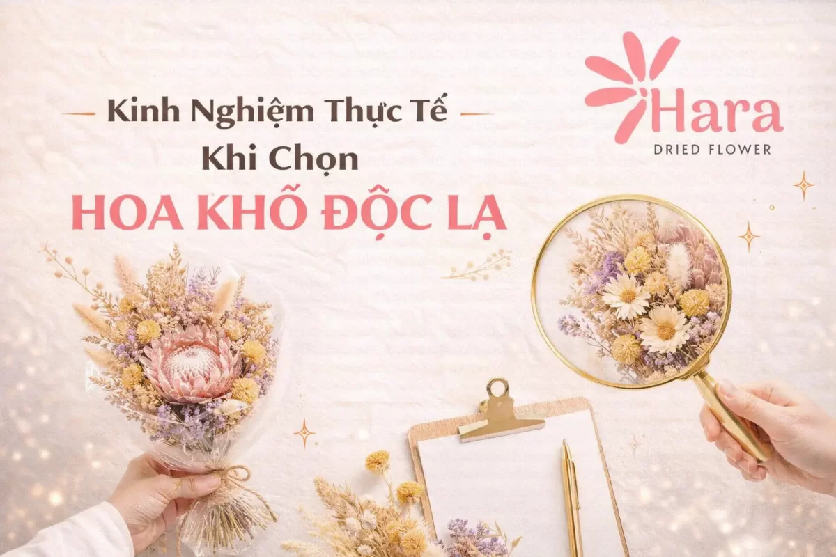 Kinh nghiệm thực tế khi lựa chọn hoa khô độc lạ
