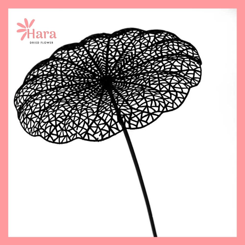 Lá sen nhựa (2) Lá sen nhựa