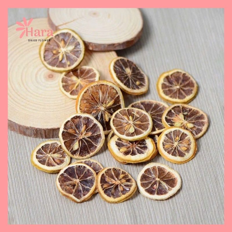 Lát cam khô decor