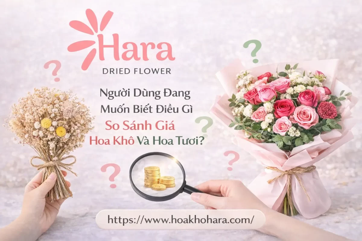Người dùng đang muốn biết gì khi so sánh giá hoa khô và hoa tươi