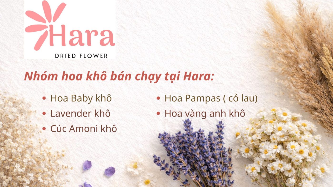 Nhóm hoa khô bán chạy tại Hara