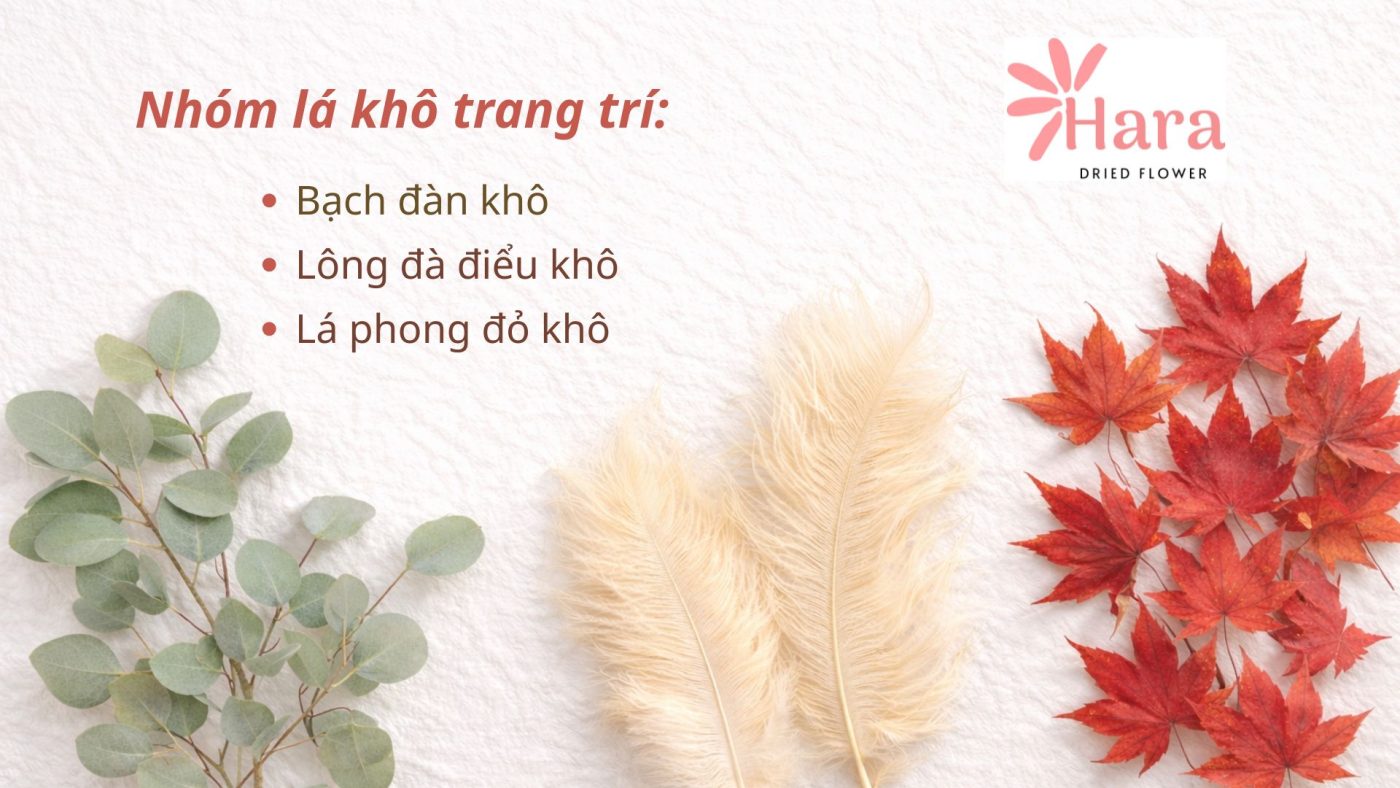 Nhóm lá khô trang trí nổi bật của nhà Hara