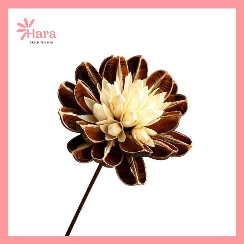 Sen vạn khô handmade