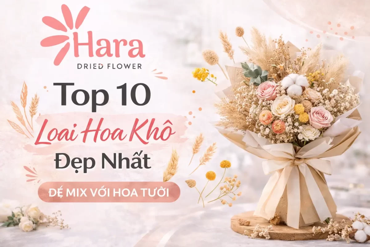 Top 10 loại hoa khô đẹp nhất để mix vào bó hoa tươi