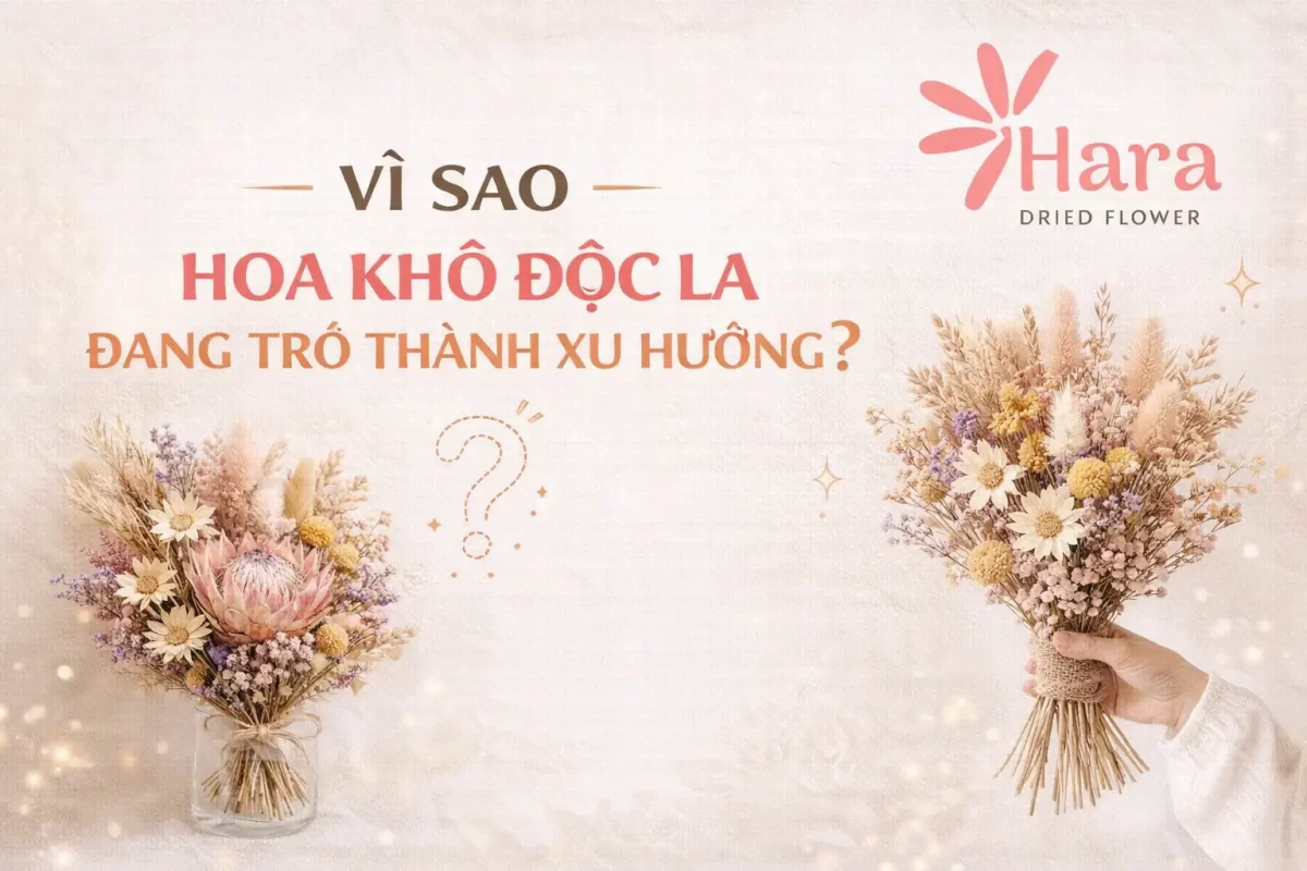 Vì sao hoa khô độc lạ đang trở thành xu hướng?