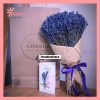 Bó hoa lavender khô Hara74