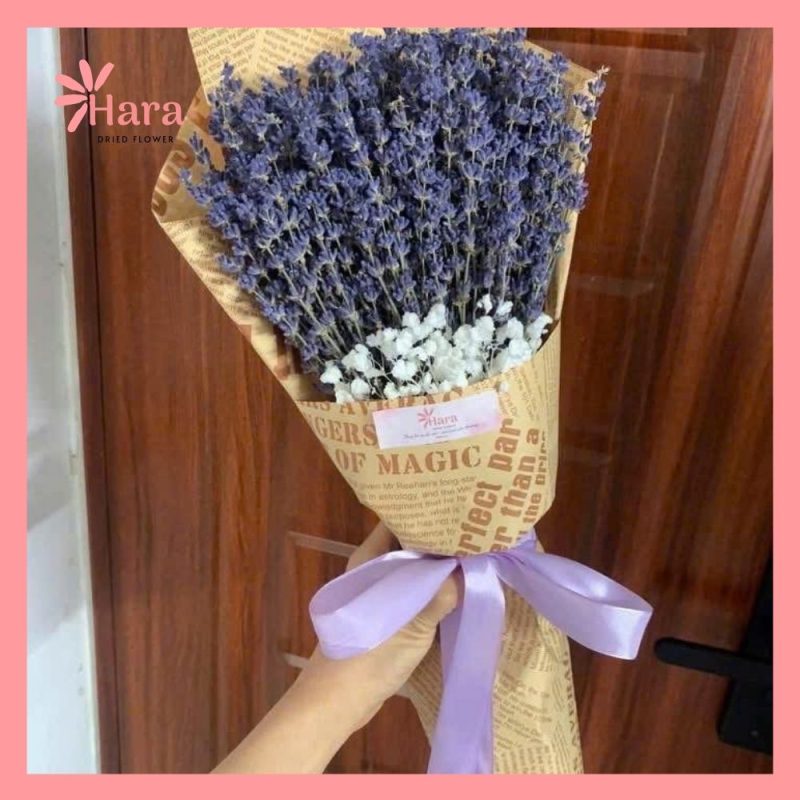 Bó hoa lavender khô Hara75