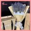 Bó hoa lavender khô Hara82