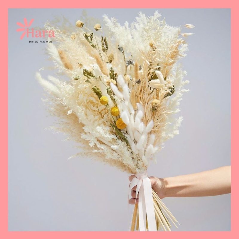 Hoa khô cắm bình Hara84