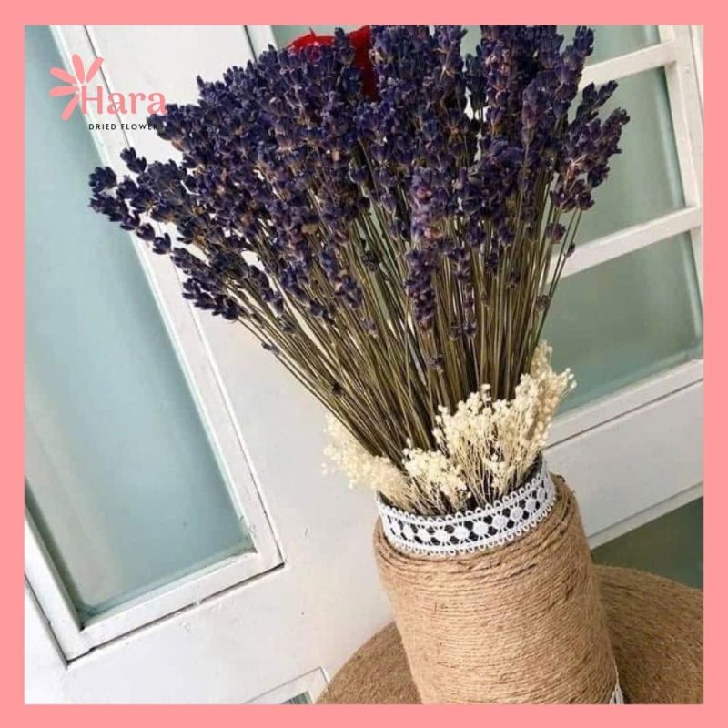 Lọ hoa lavender khô Hara79