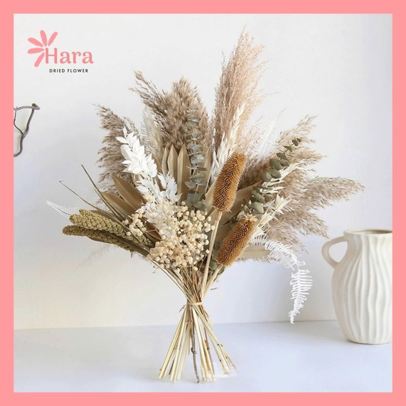 Set hoa khô cắm bình Hara100