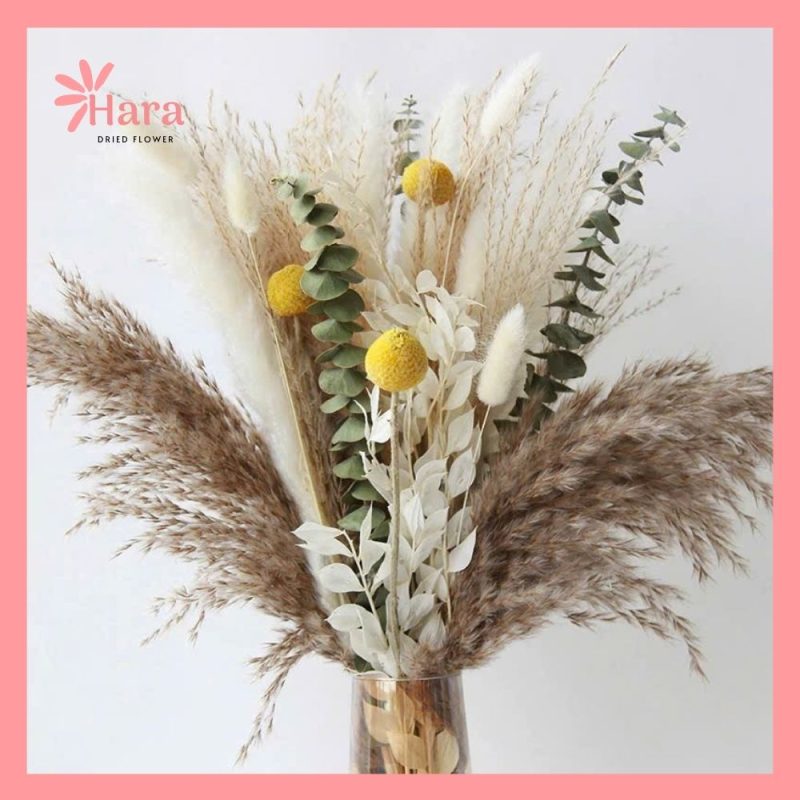 Set hoa khô cắm bình Hara101