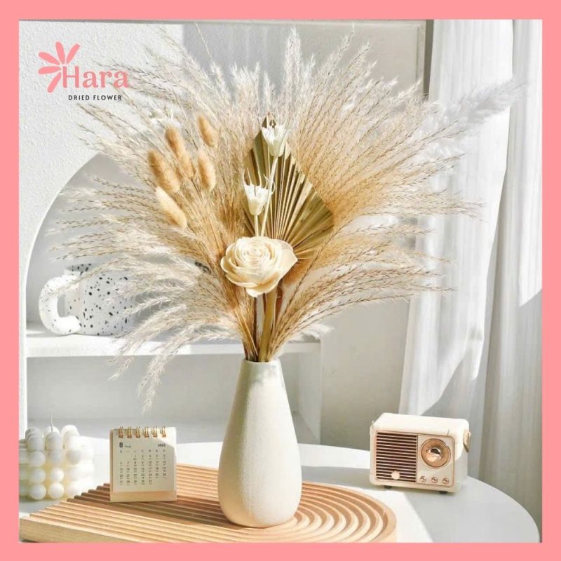 Set hoa khô cắm bình Hara102