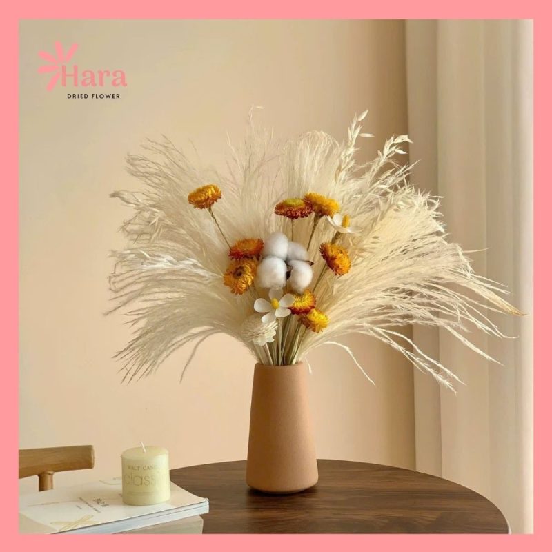 Set hoa khô cắm bình Hara105