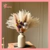Set hoa khô cắm bình Hara106