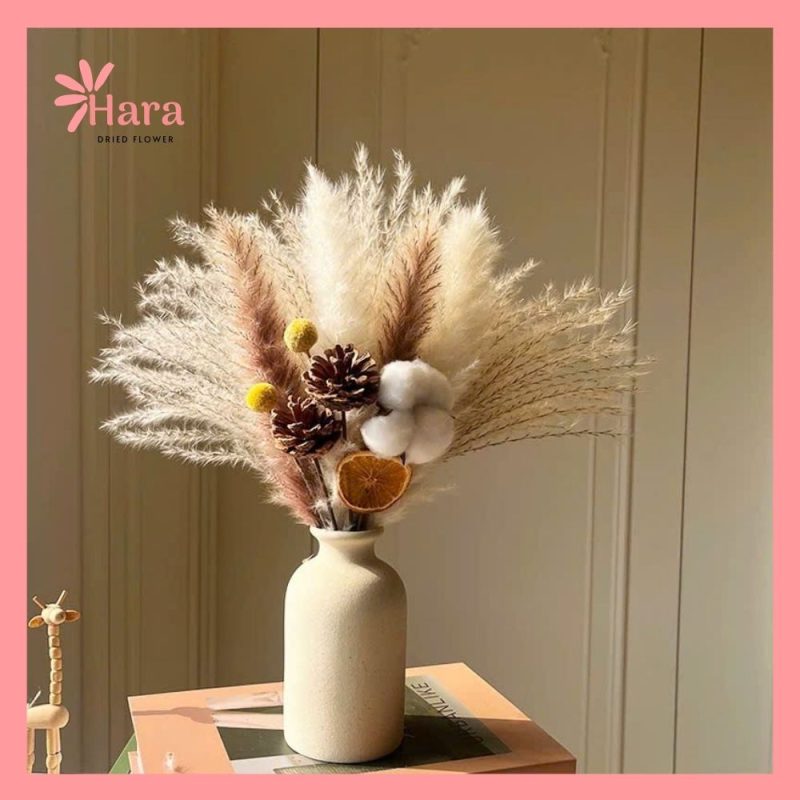 Set hoa khô cắm bình Hara106