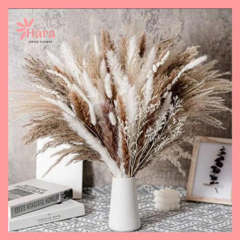 Set hoa khô cắm bình Hara98