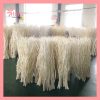 Cành Salix trắng khô