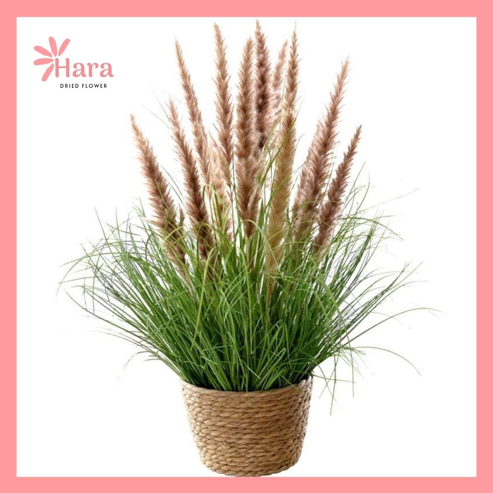 Giỏ cỏ lau khô decor Hara115 (2)