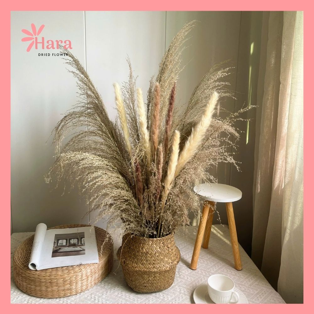 Giỏ cỏ lau khô decor Hara115 (3)