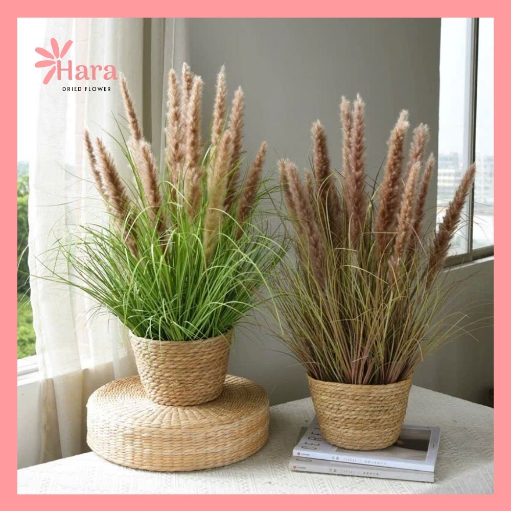 Giỏ cỏ lau khô decor Hara115