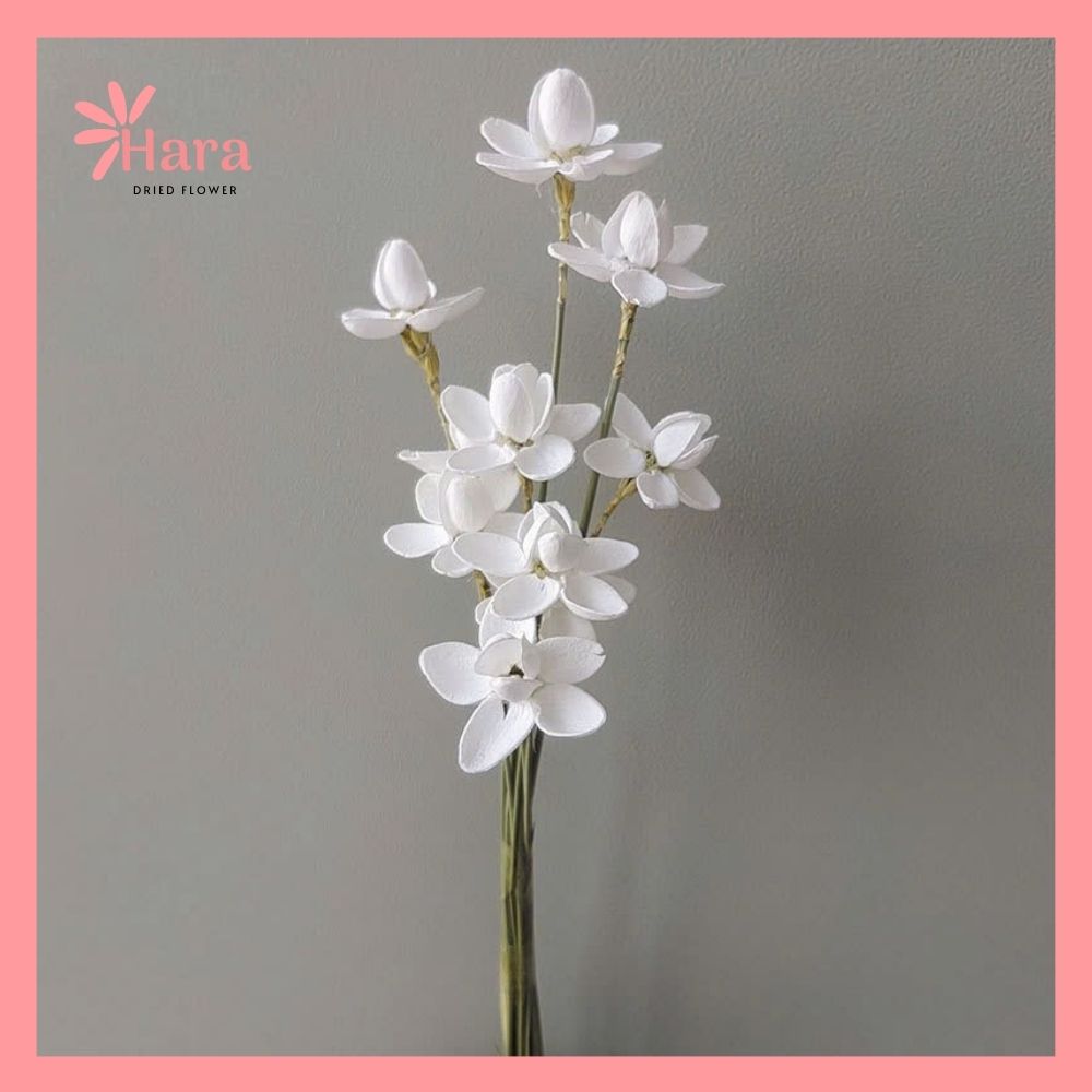 Hoa lan gỗ khô handmade (3)