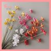 Hoa lan gỗ khô handmade