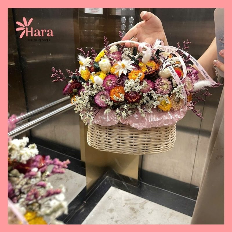 Giỏ hoa cúc bất tử khô Hara144